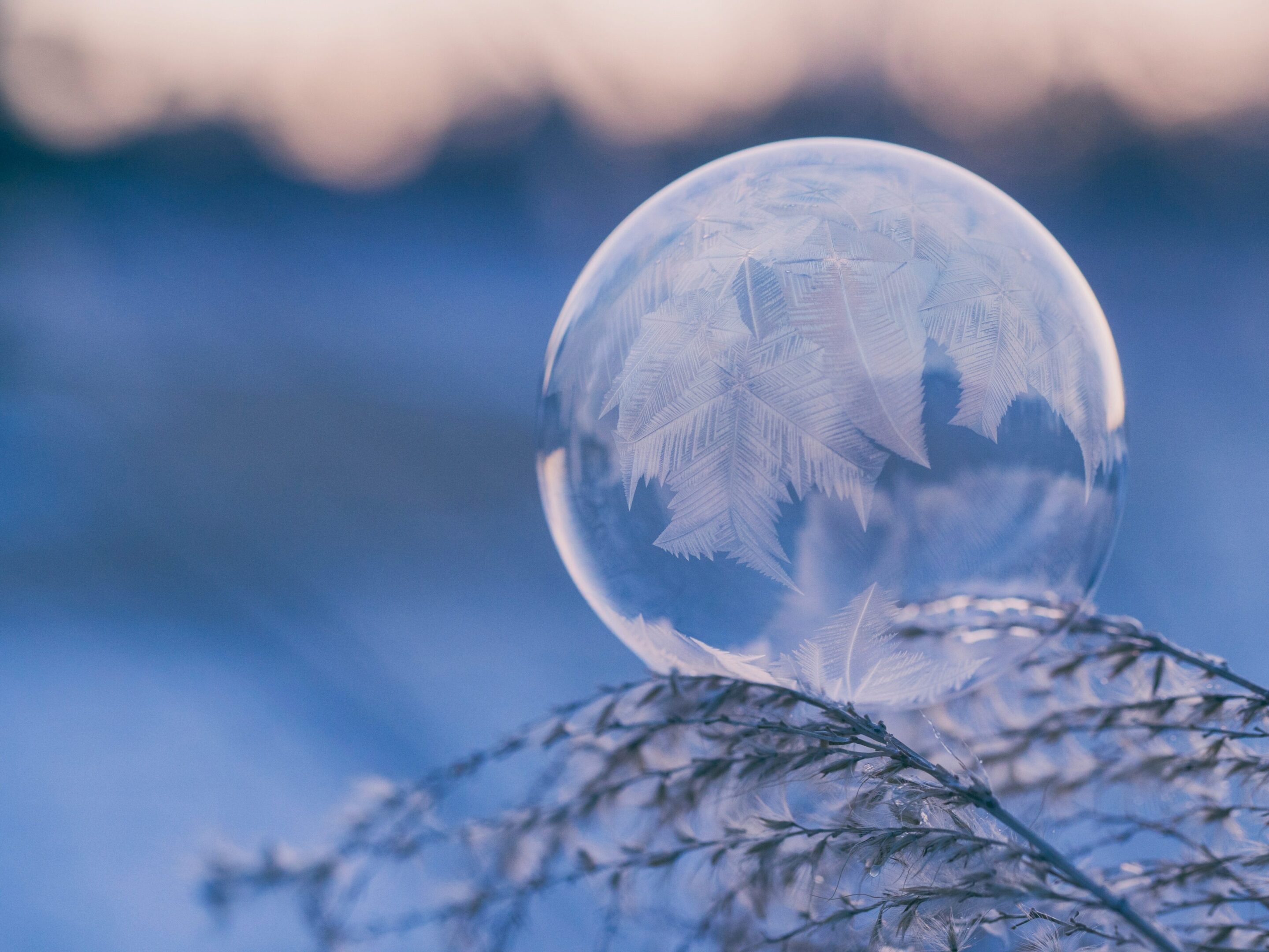 Frozen soap bubble resting on a delicate net in cold surroundings.